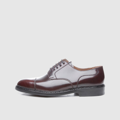 Herrenschuhe aus Exotenleder