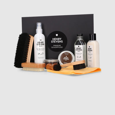 Schuhputzset